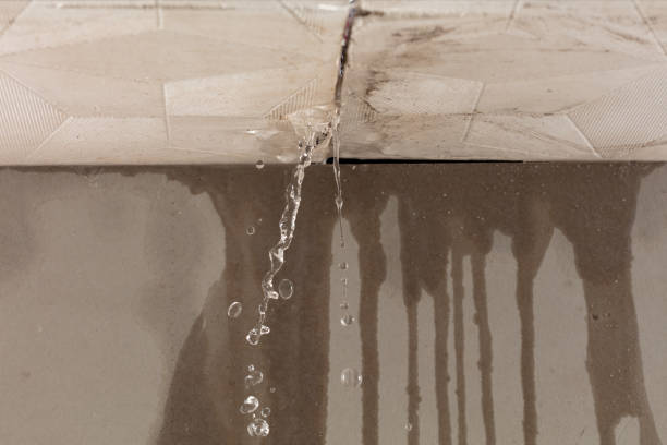 Professional Sewage Cleanup technician working in North Star, MI
